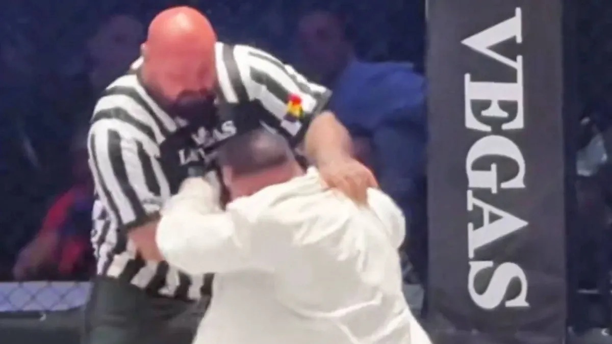 Rozhodčímu v MMA kleci přeplo. Z bojovníka si udělal boxovací pytel