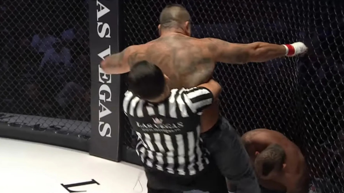 Svět MMA se zbláznil. Rumunský sudí se během zápasu vrhá do akce a mlátí bojovníky