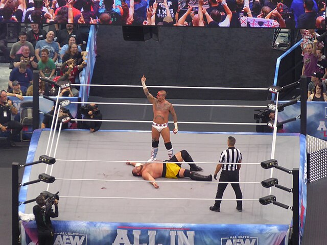 Kdo v MMA a boxu vydělával víc, než odpovídalo výkonům. Případy, které dodnes vyvolávají otázky