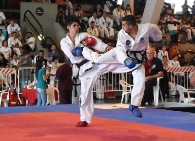 Krav maga, muay thai, BJJ. Každý fanoušek MMA ta jména zná, ale podle popisu techniky je správně přiřadí jen hrstka lidí